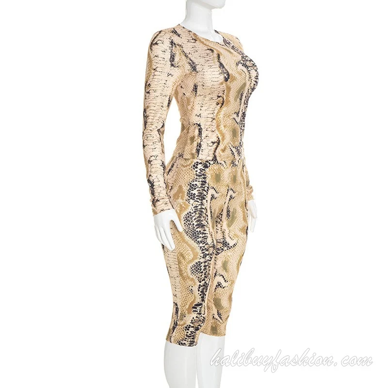 Long sleeve round neck leopard print mesh pant set
