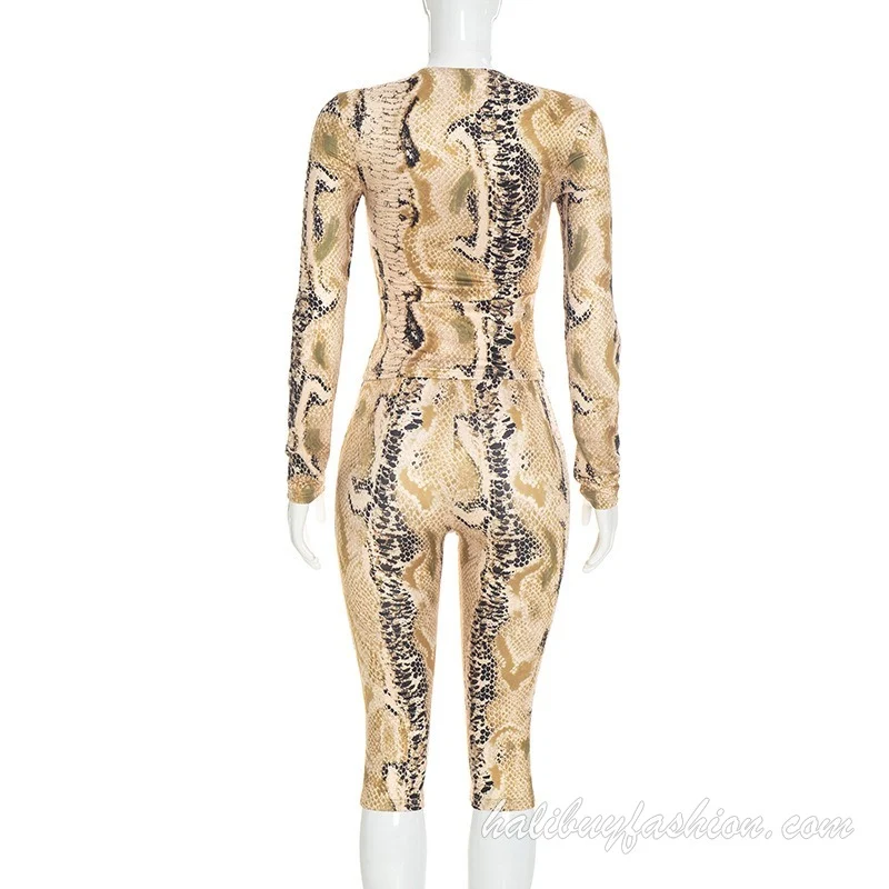 Long sleeve round neck leopard print mesh pant set
