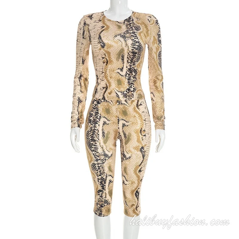 Long sleeve round neck leopard print mesh pant set