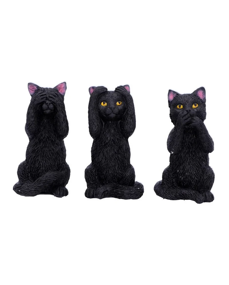 Drei weise schwarze Katzen