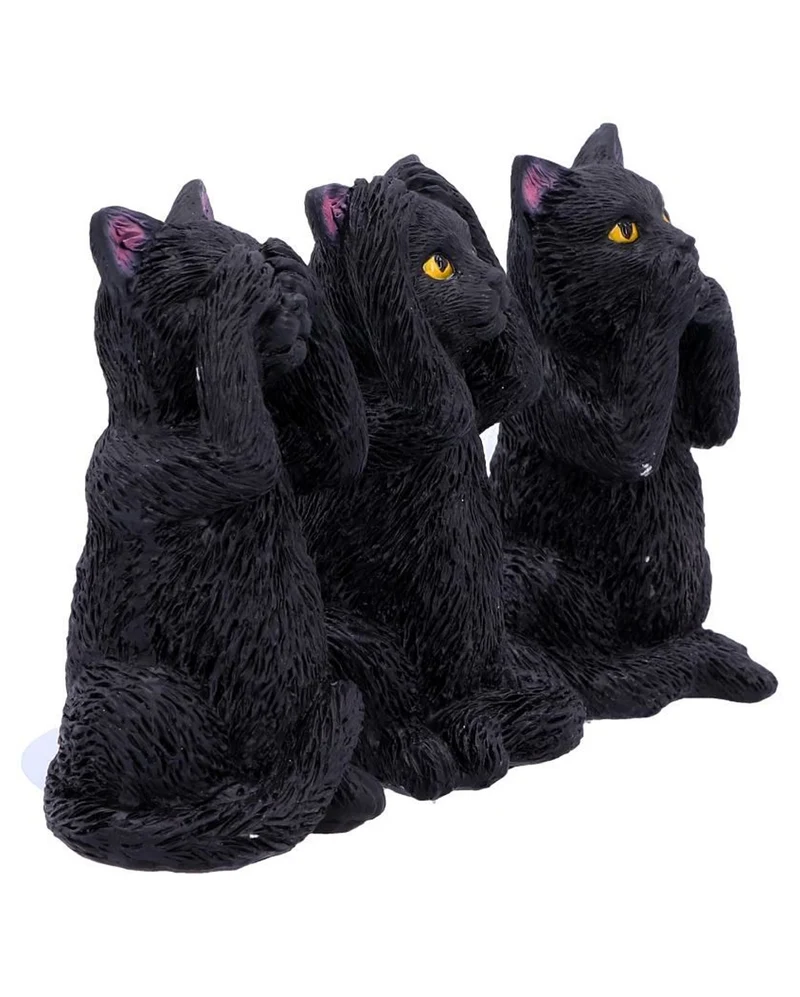 Drei weise schwarze Katzen