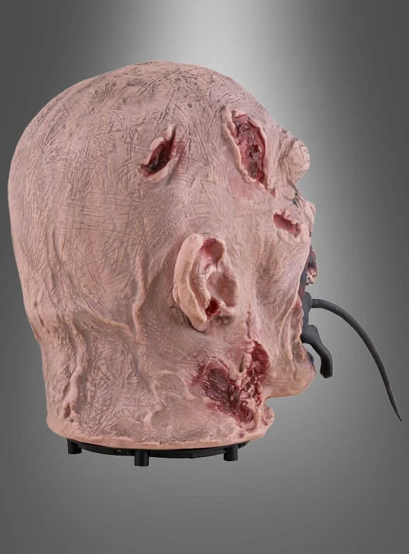 Rattenfressender Zombie Kopf animiert 25cm