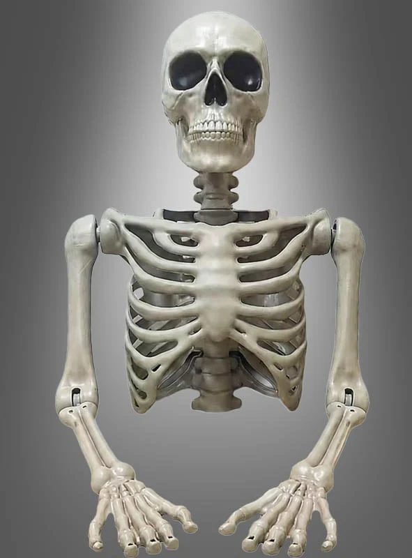 Riesiger Skelett Torso Tom 104cm