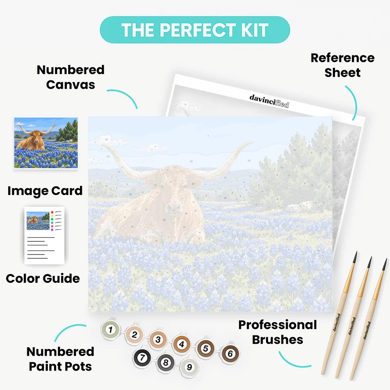 Longhorn in Bluebonnets - Paint by Numbers Kit