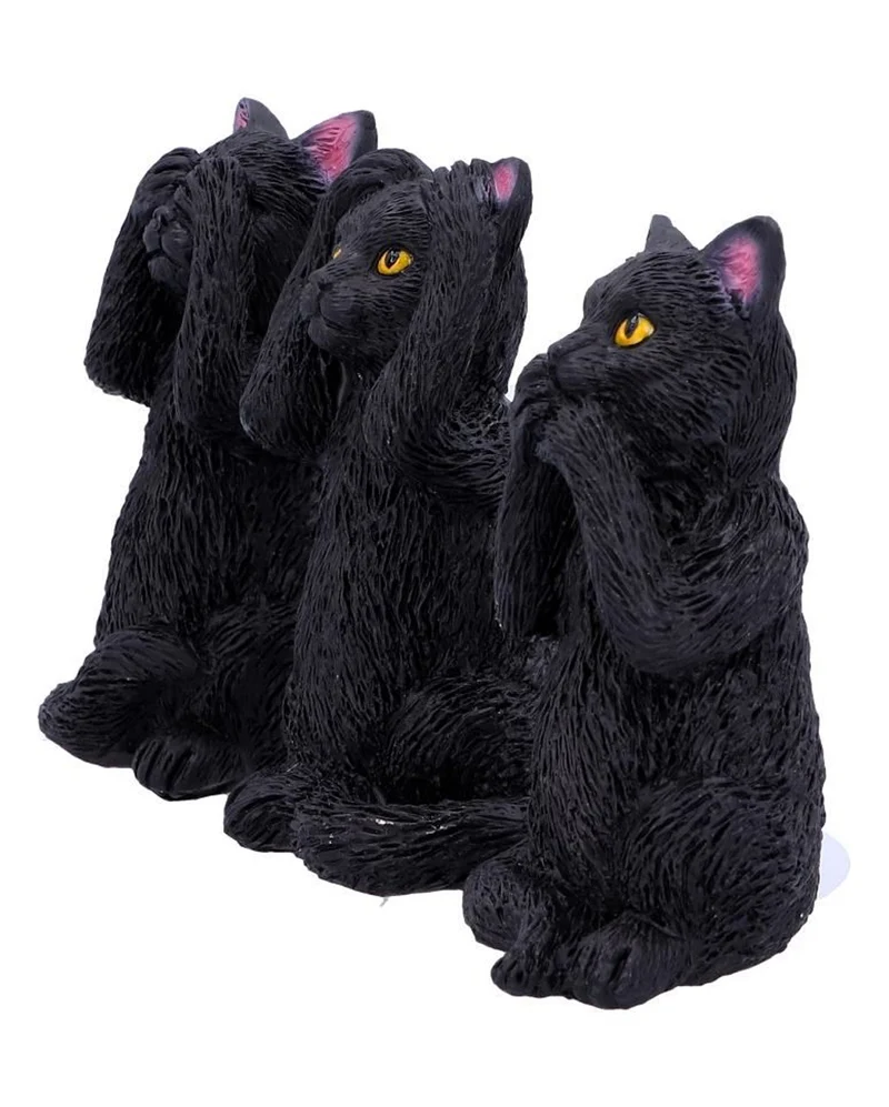 Drei Weise Schwarze Katzen