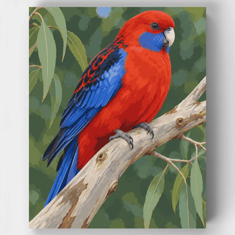 Crimson Rosella Perch - Paint by Numbers Kit