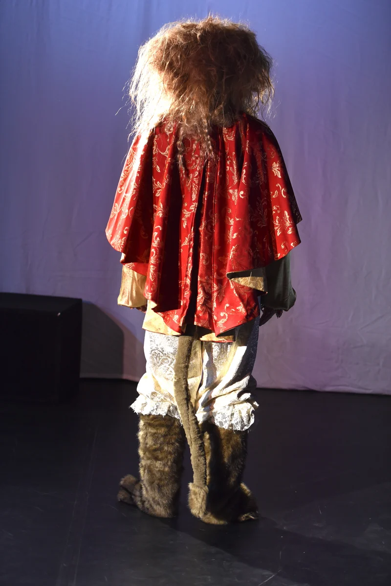 Tierkostüm - Löwe - B058