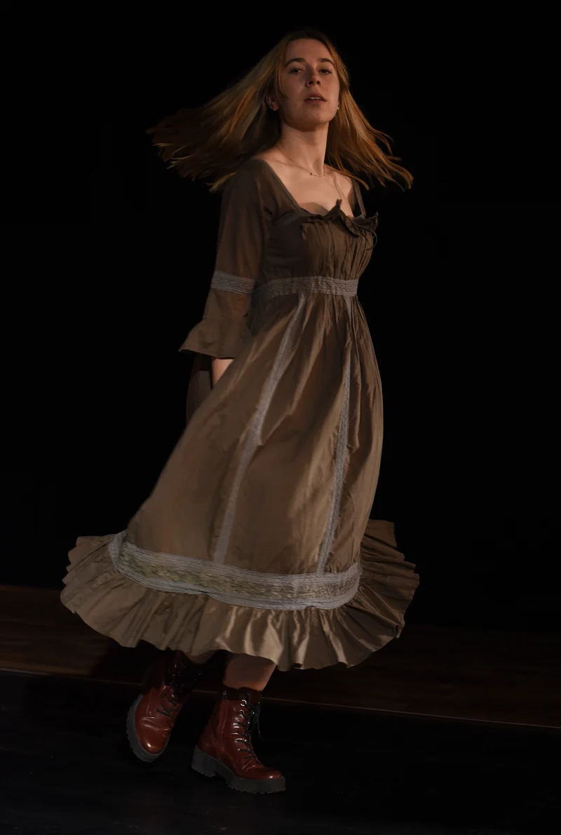 Kleid - Braunes Kleid - W045