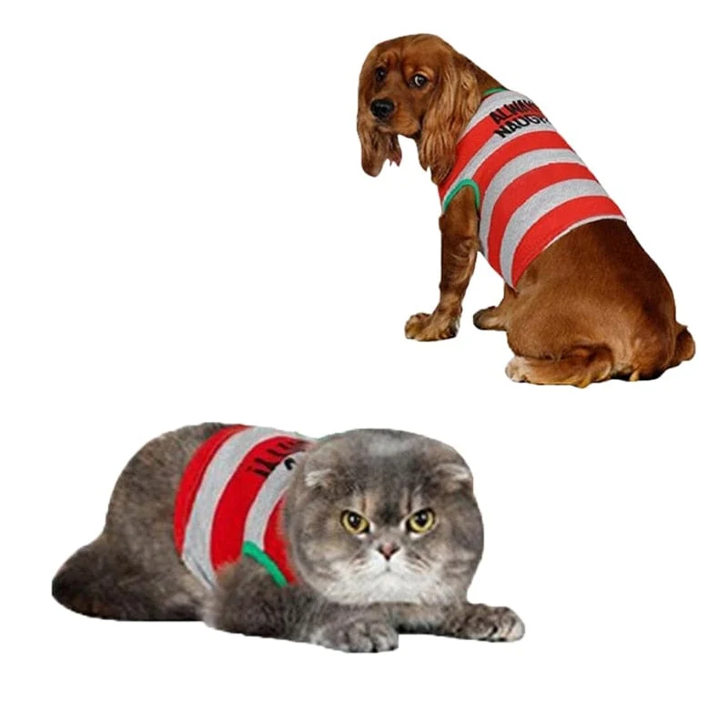 Pyjama Weihnachtsabend