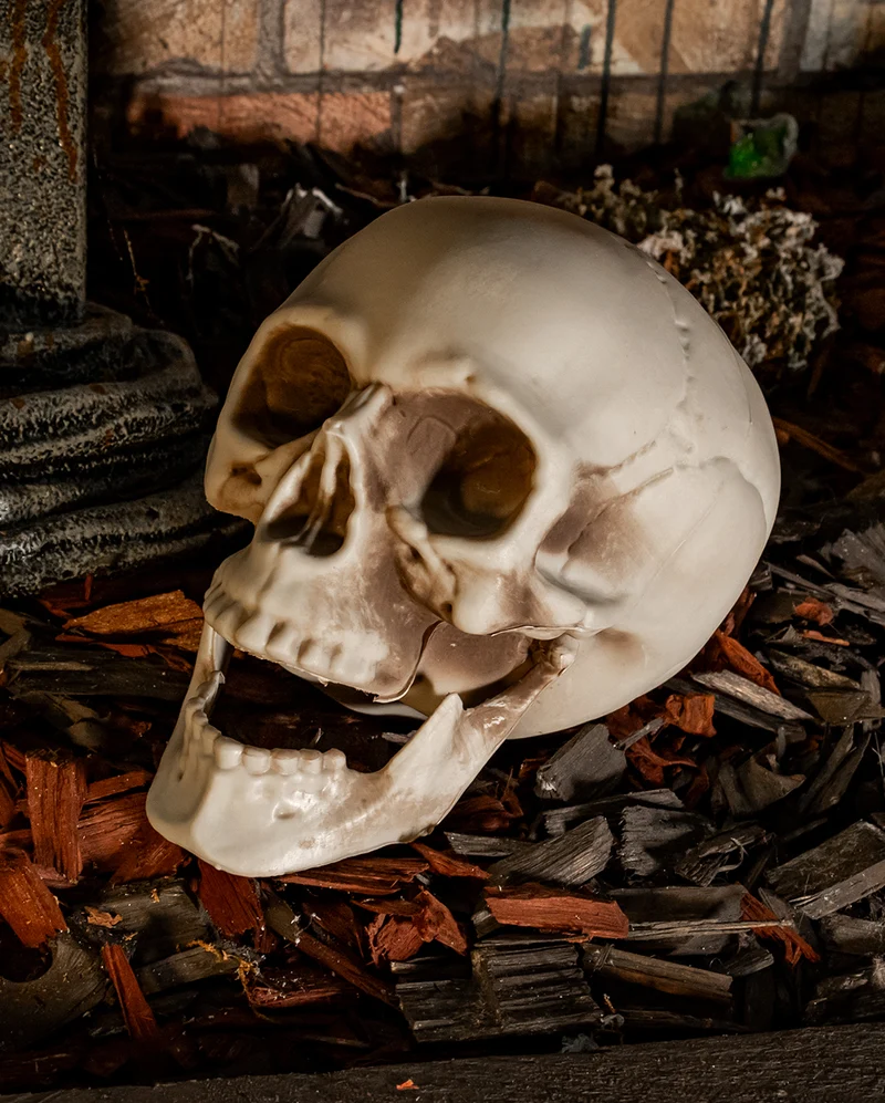 Wetterfester Totenkopf mit beweglichem Kiefer 20cm