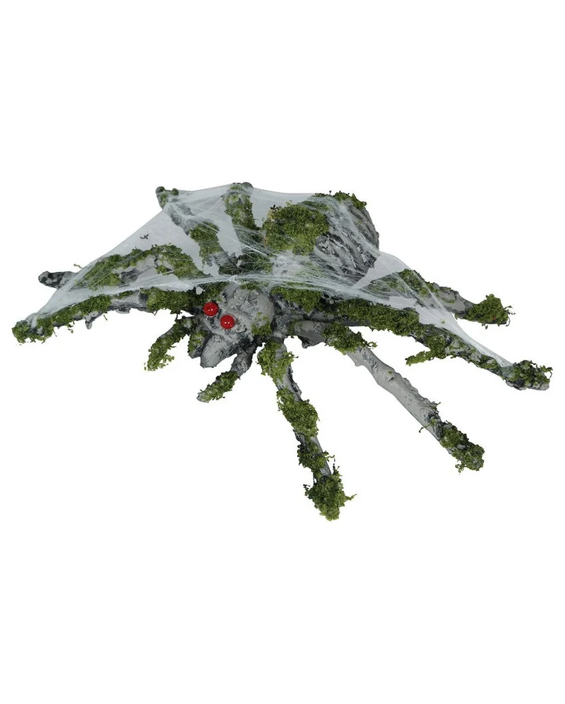 Graue Fäulnisspinne mit Moos 22cm
