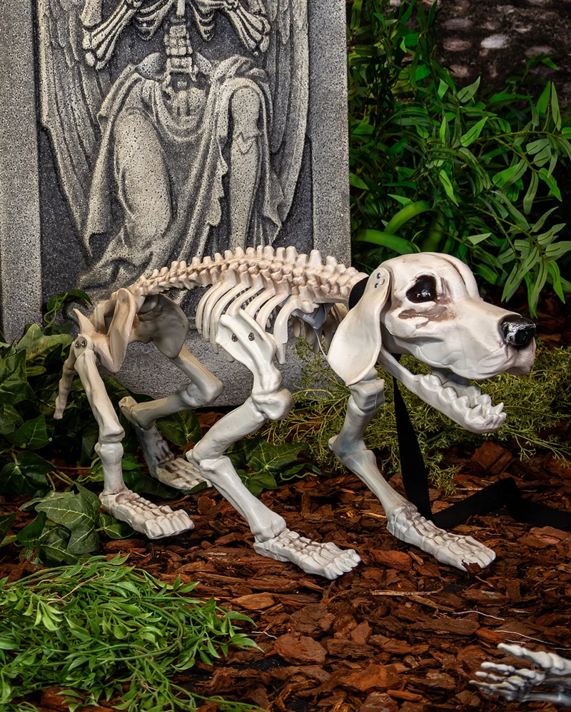Bellender Skelett Hund mit LED Augen 70cm