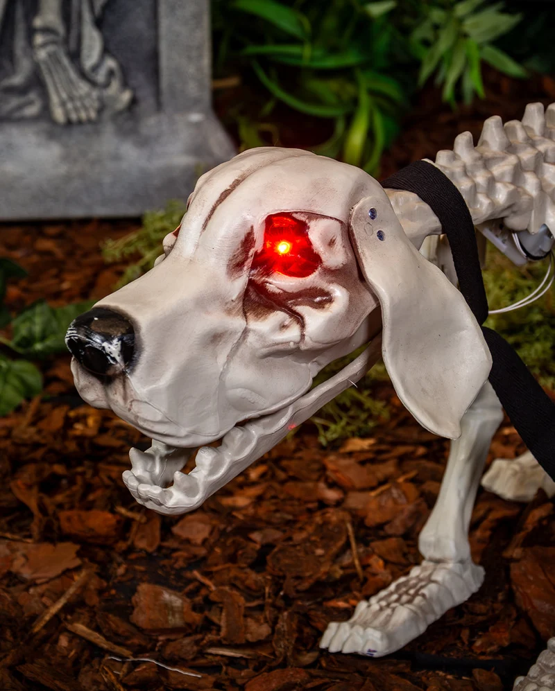 Bellender Skelett Hund mit LED Augen 70cm