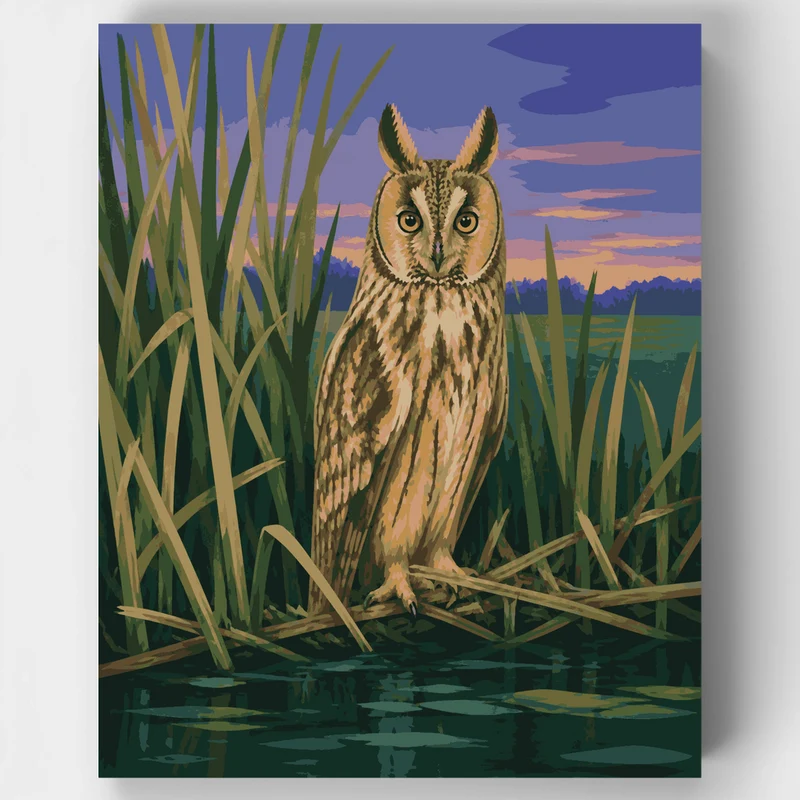 Long-Eared Owl at Dusk - Paint by Numbers Kit