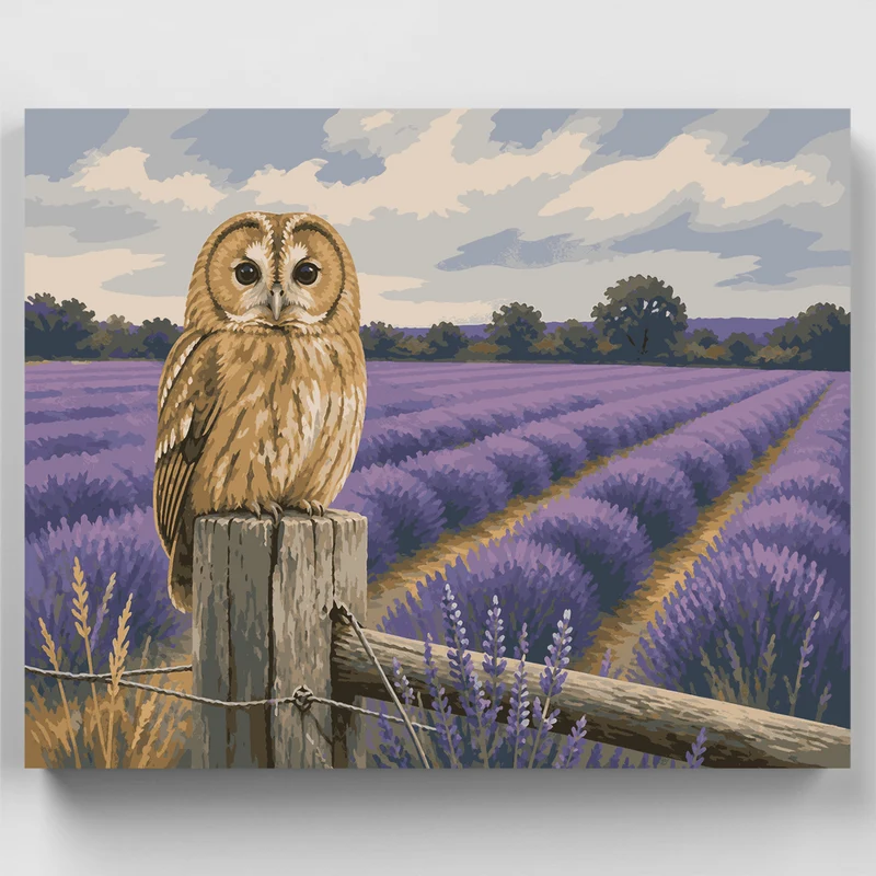 Owl of the Lavender Fields - Paint by Numbers Kit