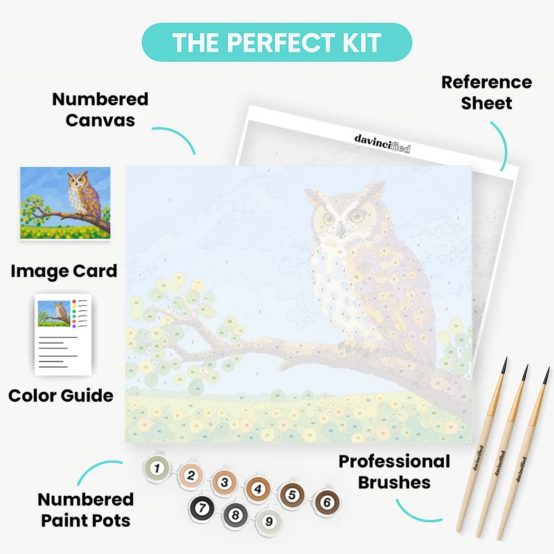 Amber-Eyed Owl Watch - Paint by Numbers Kit