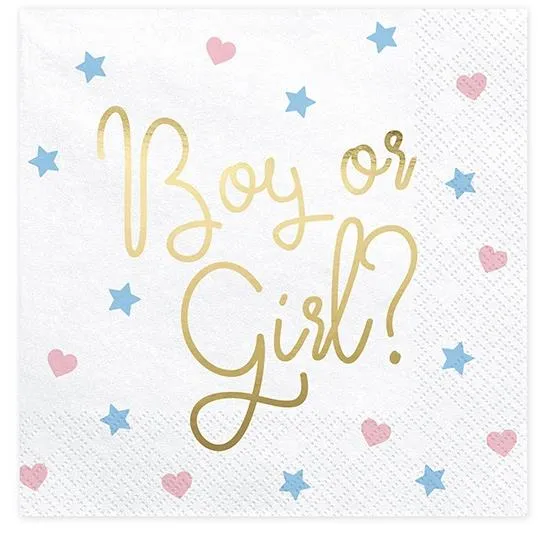 Servietten "Boy Or Girl" 20 Stk.