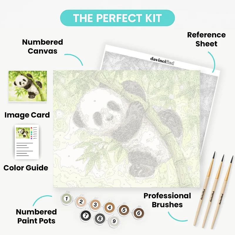 Baby Panda - Paint by Numbers Kit