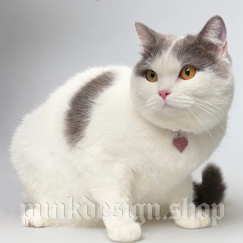 Gothic Doppellagiges Katzenchoker aus Imitationsperlen