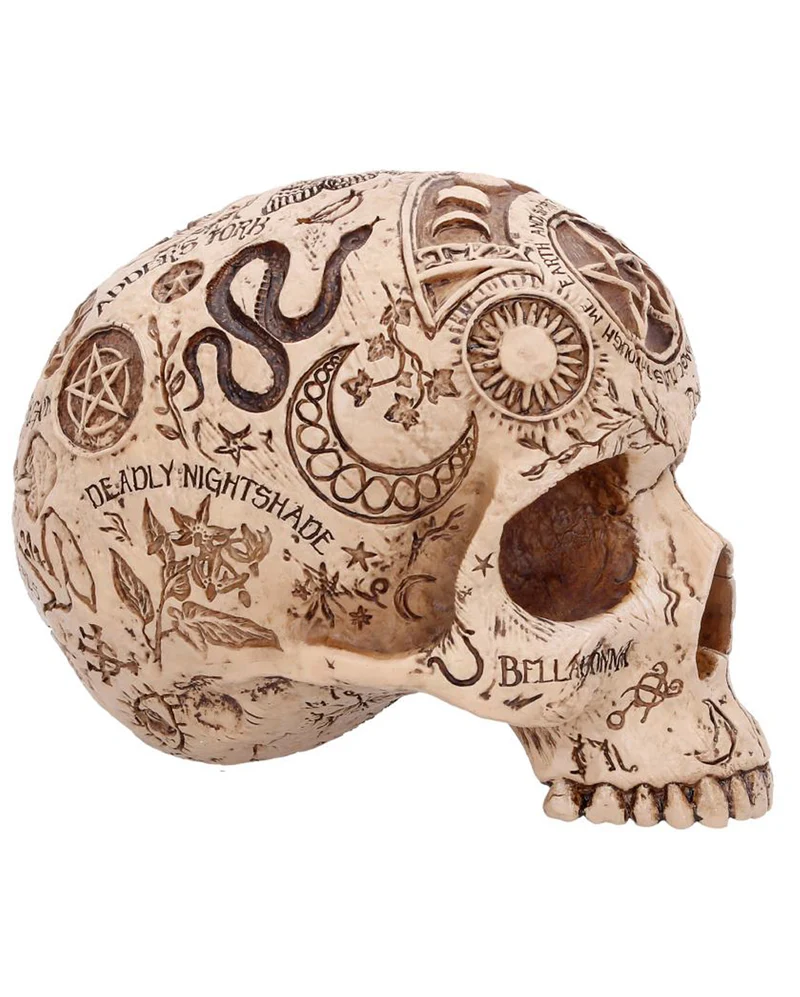 Apothecary Totenschädel 14cm