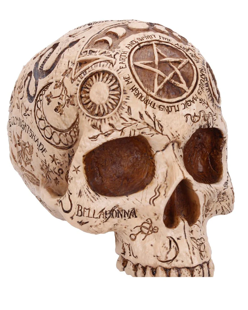 Apothecary Totenschädel 14cm
