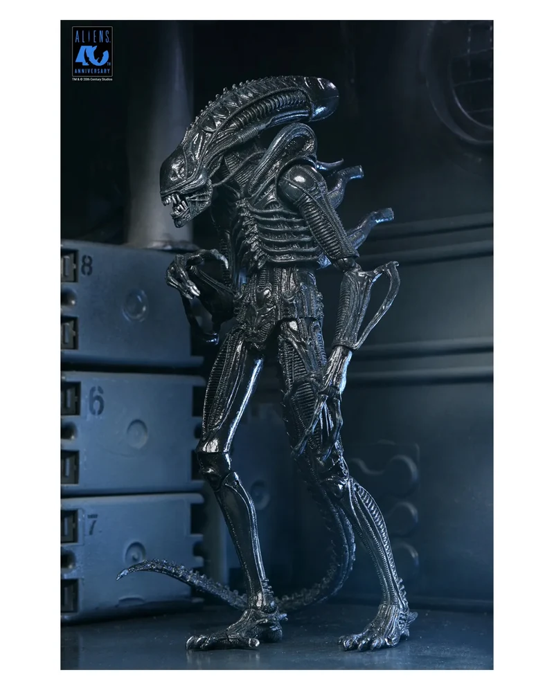 Aliens 40th Anniversary Warrior Xenomorph NECA Ultimate Action Figur 23cm