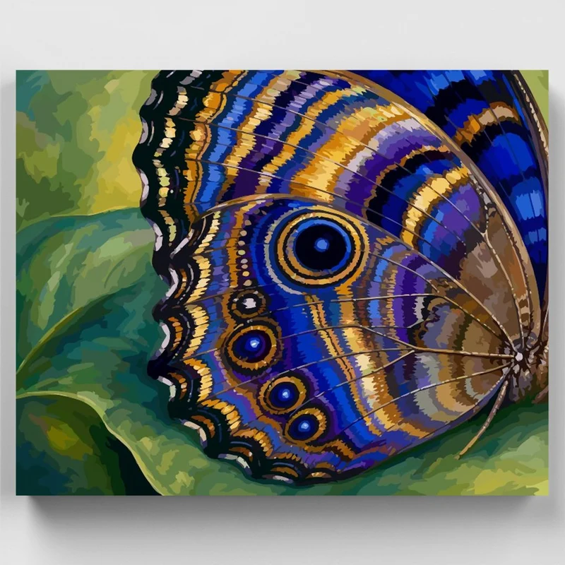 Butterfly Wing Eyespots - Paint by Numbers Kit