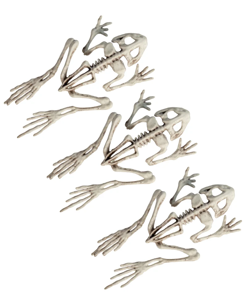3-teiliges Frosch Skelett Set 19cm