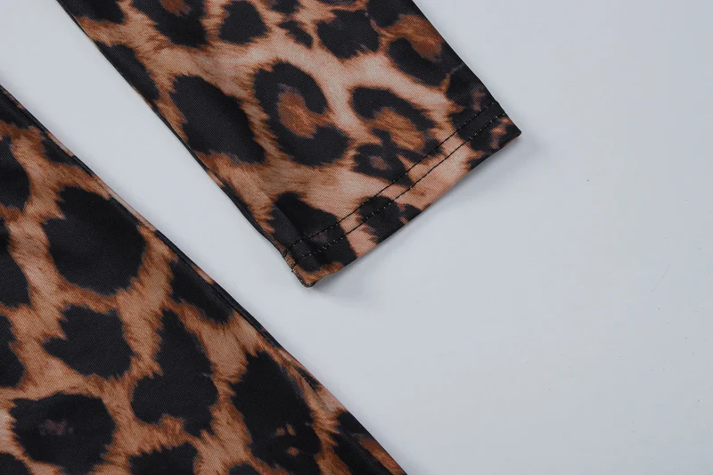 Leopard print v neck long sleeve romper