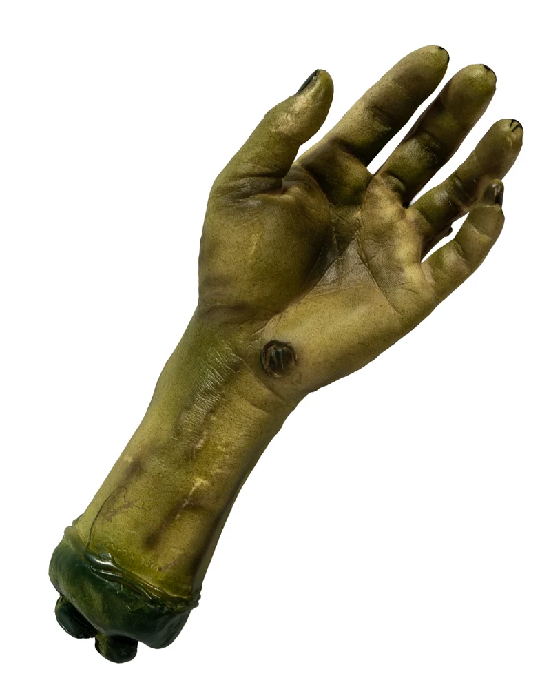 Vermoderte Abgehackte Zombie Hand 25cm