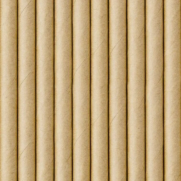 Papier-Strohhalme Einfarbig Natur 10 Stk.
