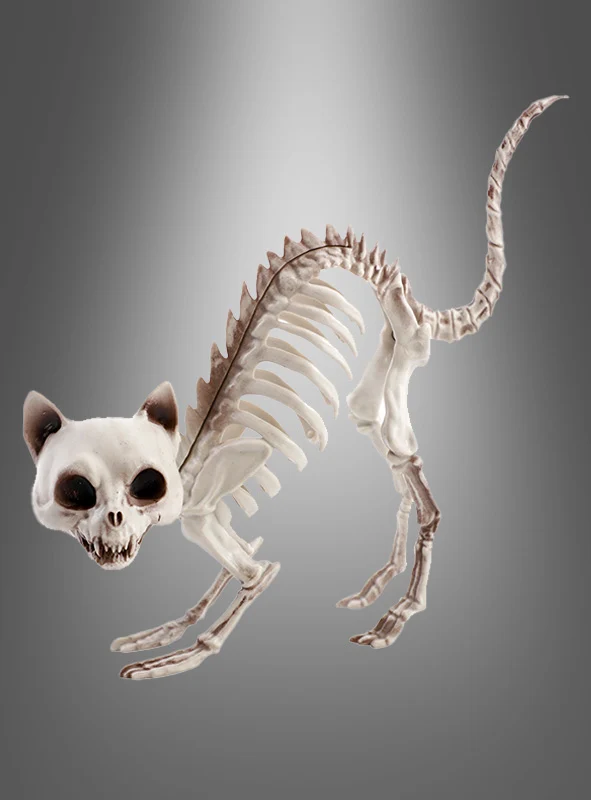 Halloween Skelett Katze