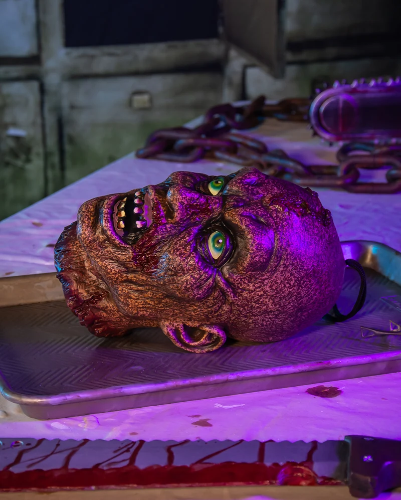 Verrotteter Zombieschädel als Halloween Deko 25cm