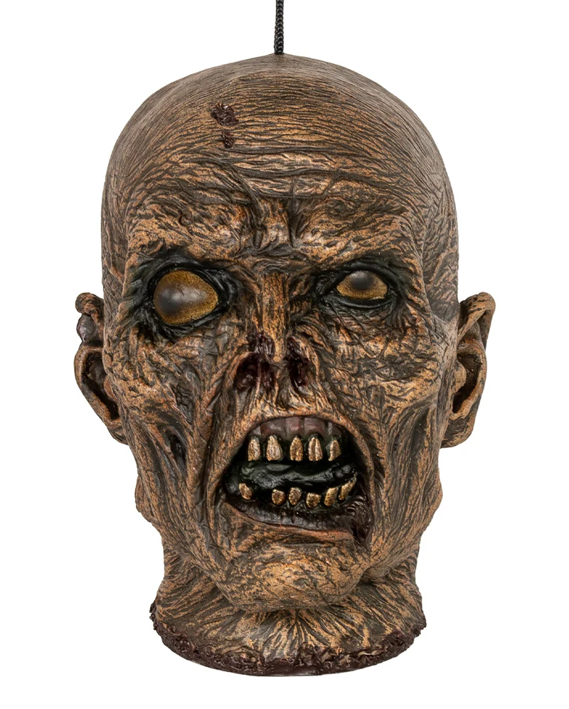 Vertrockneter Mumienschädel 23cm