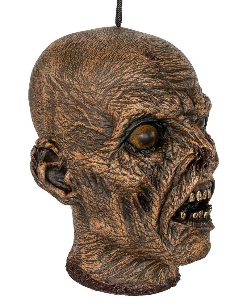 Vertrockneter Mumienschädel 23cm