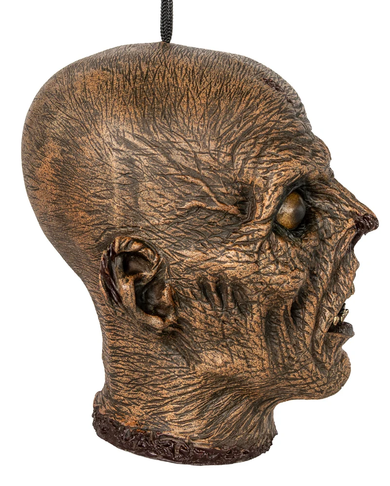 Vertrockneter Mumienschädel 23cm
