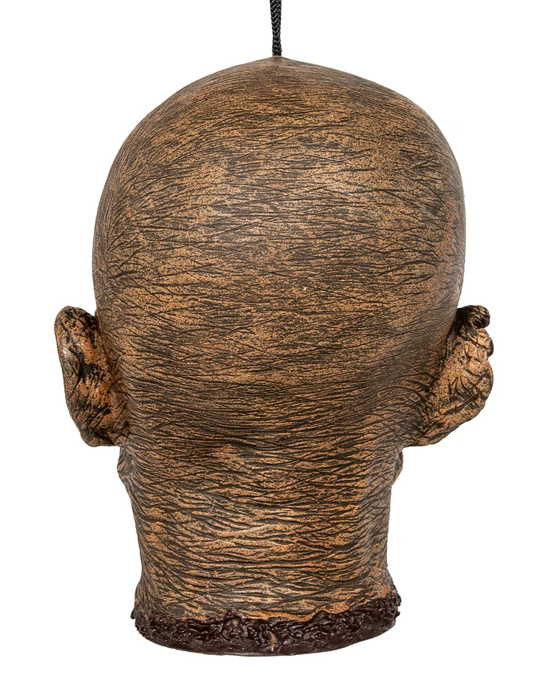 Vertrockneter Mumienschädel 23cm