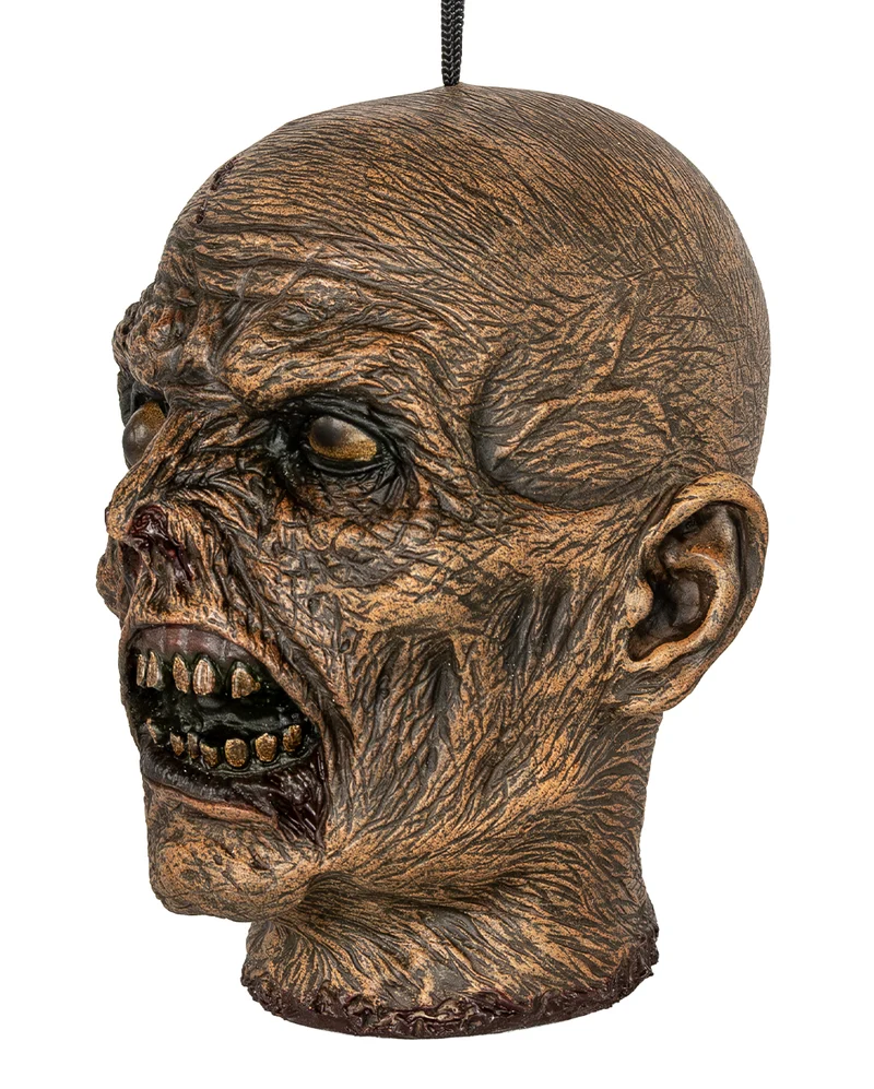 Vertrockneter Mumienschädel 23cm