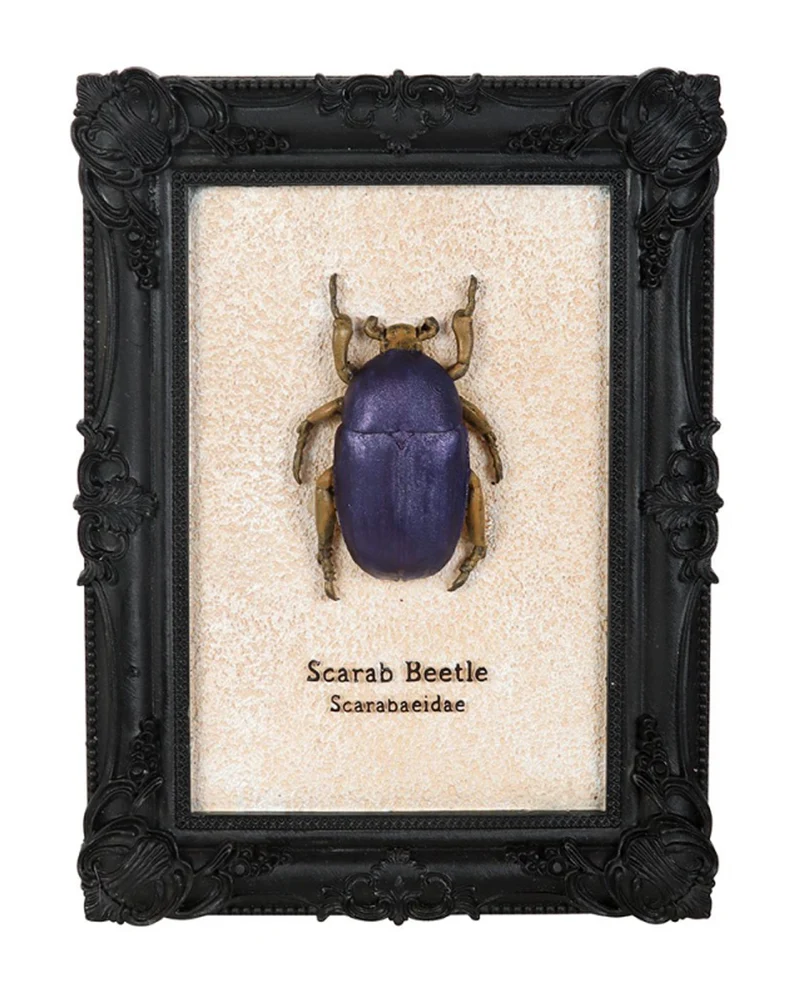 Skarabäus-Käfer im Schwarzen Gothic Bilderrahmen 20cm