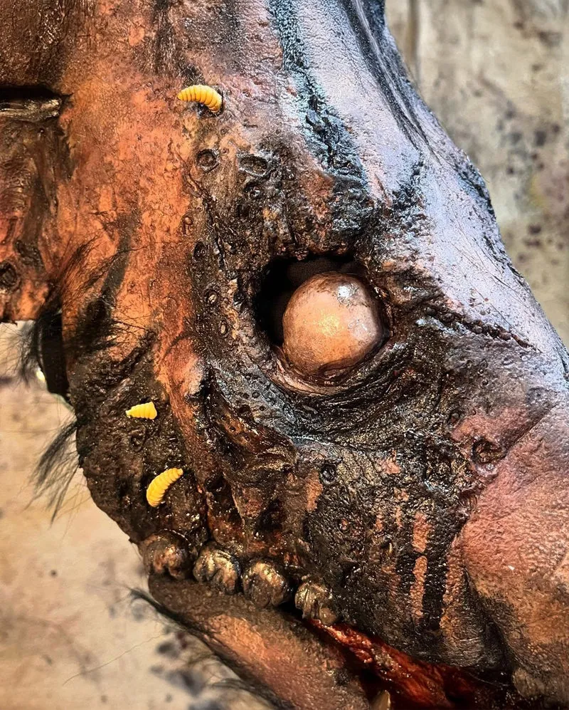 Verwesende Kadaver Schweine Maske