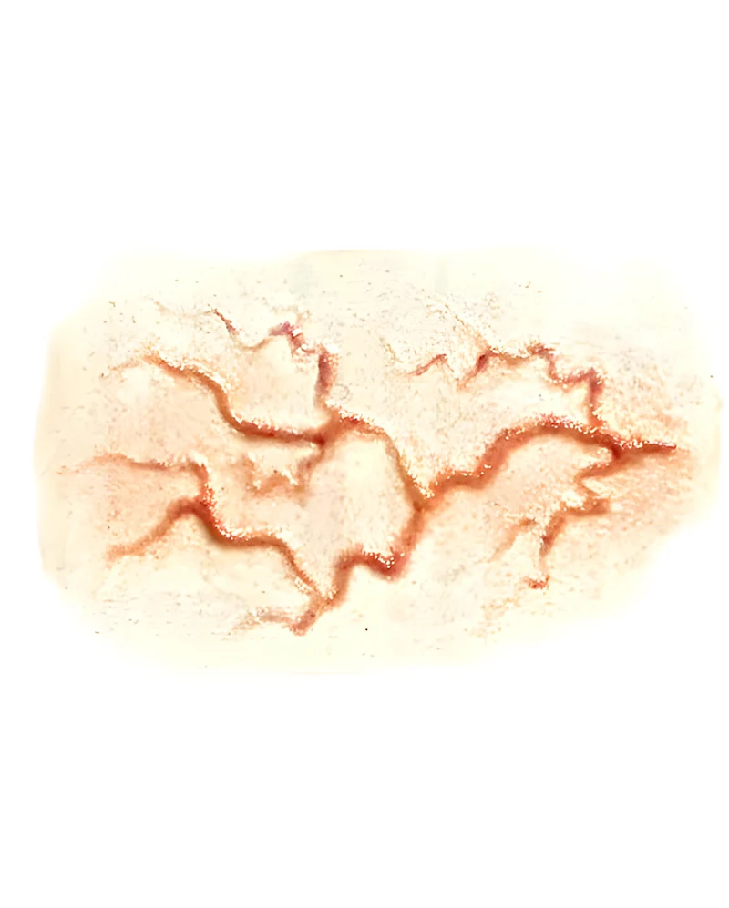 3D FX Transfer Tattoo Venen Wunde