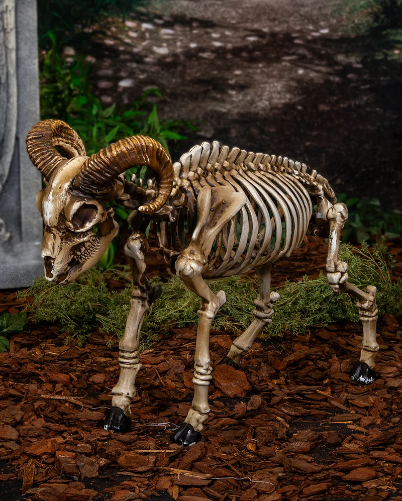 Skelett Ziegenbock als Halloween Deko 67cm