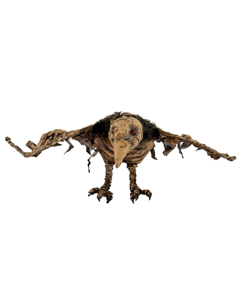 Mumifizierter Raben Kadaver aus dem Moor 55cm