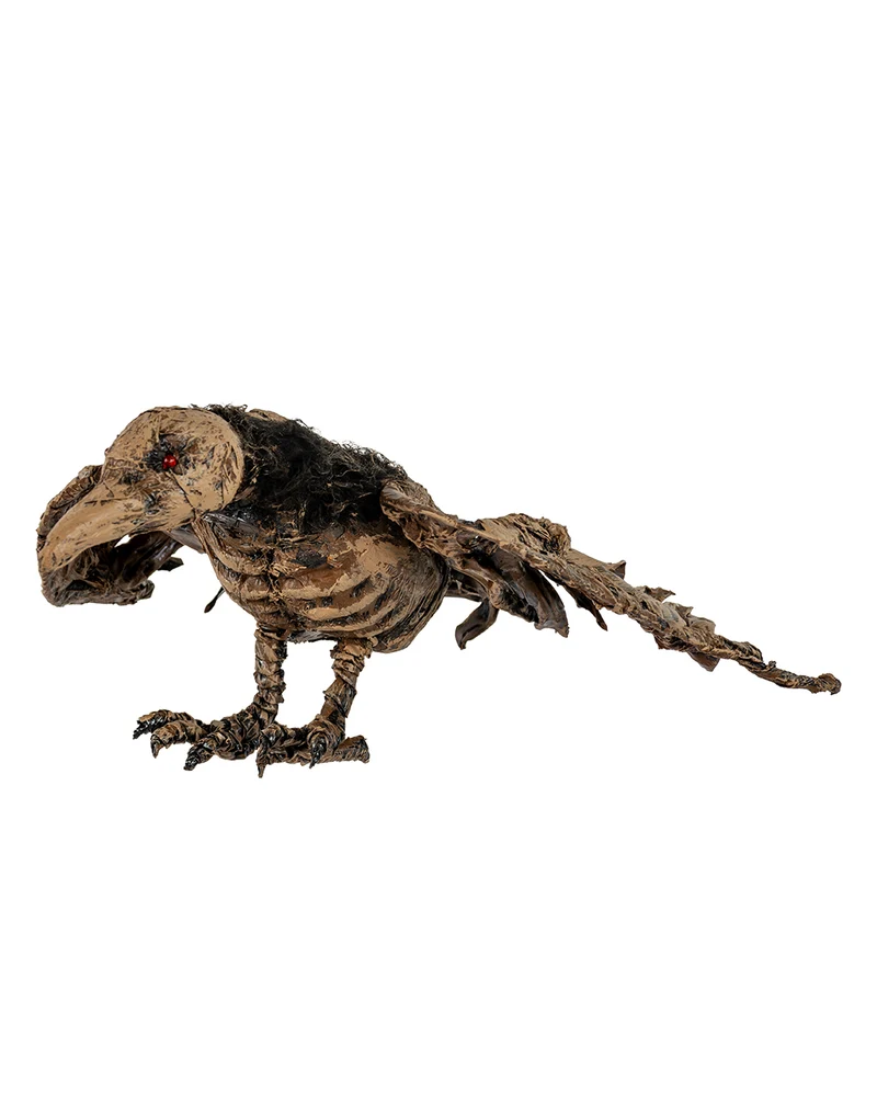 Mumifizierter Raben Kadaver aus dem Moor 55cm