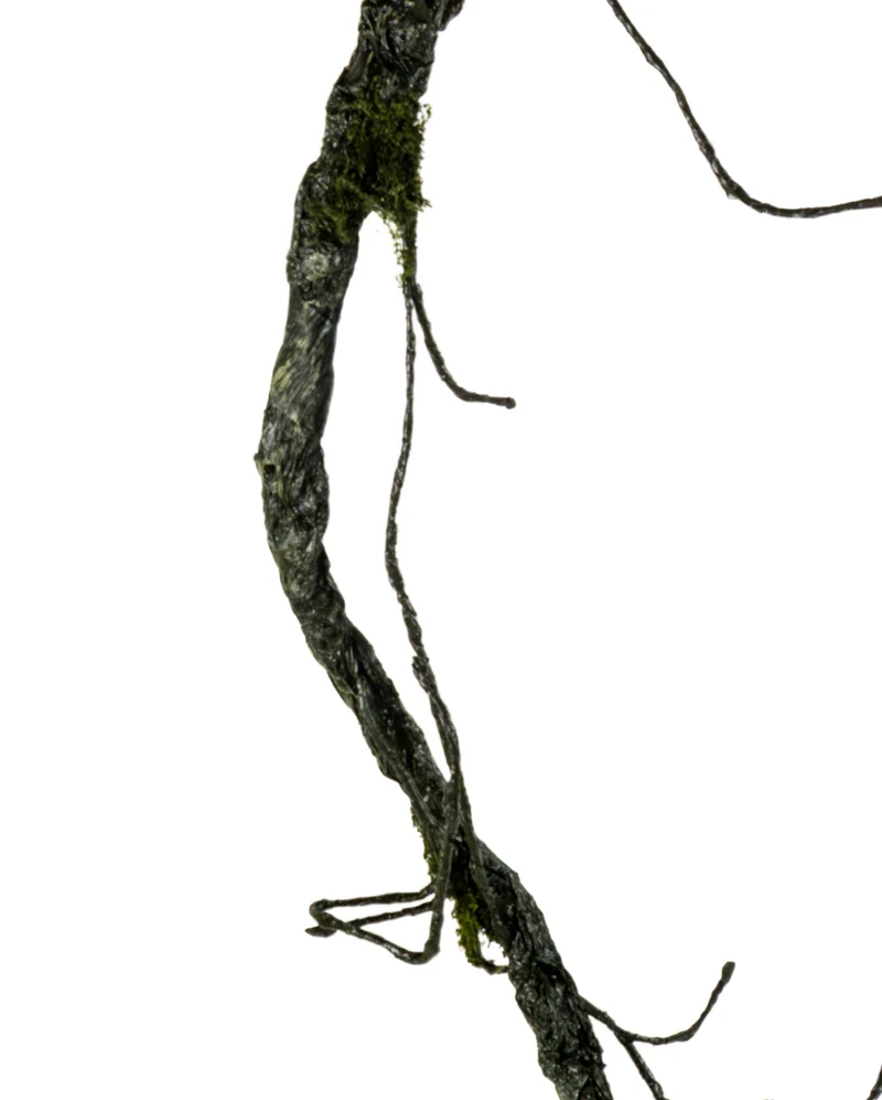 Vertrocknete Friedhofs Ranke als Deko 192 cm