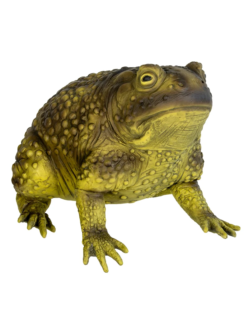 Dämonische Riesen-Schleimkröte Morbella 24cm