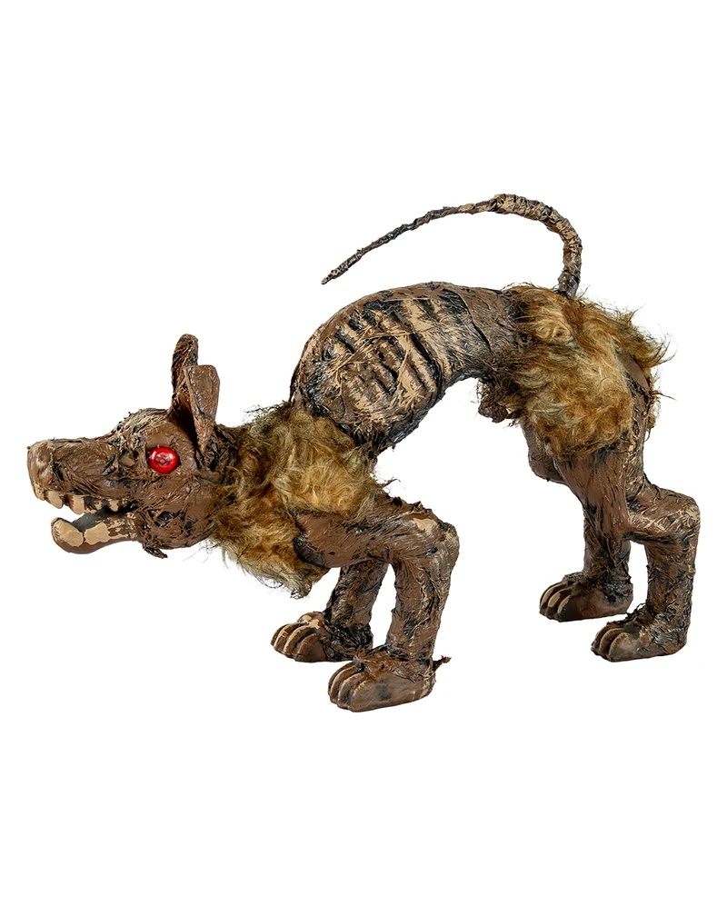 Mumifizierter Hundekadaver aus dem Moor 51cm