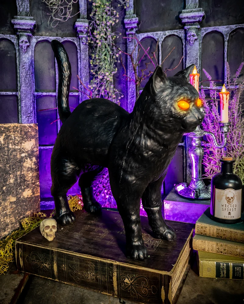 Rufus Hexenkatze mit Leuchtaugen 39cm
