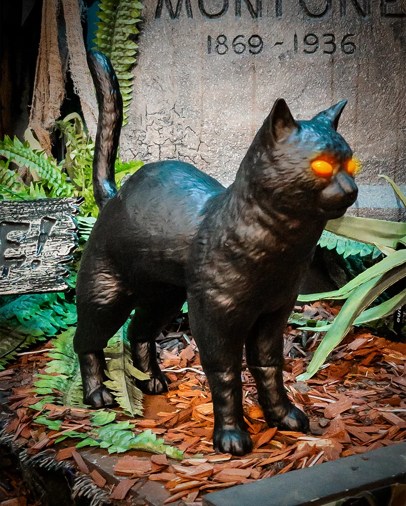 Rufus Hexenkatze mit Leuchtaugen 39cm
