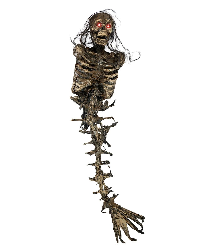 Vermodertes Meerjungfrau Skelett 85cm